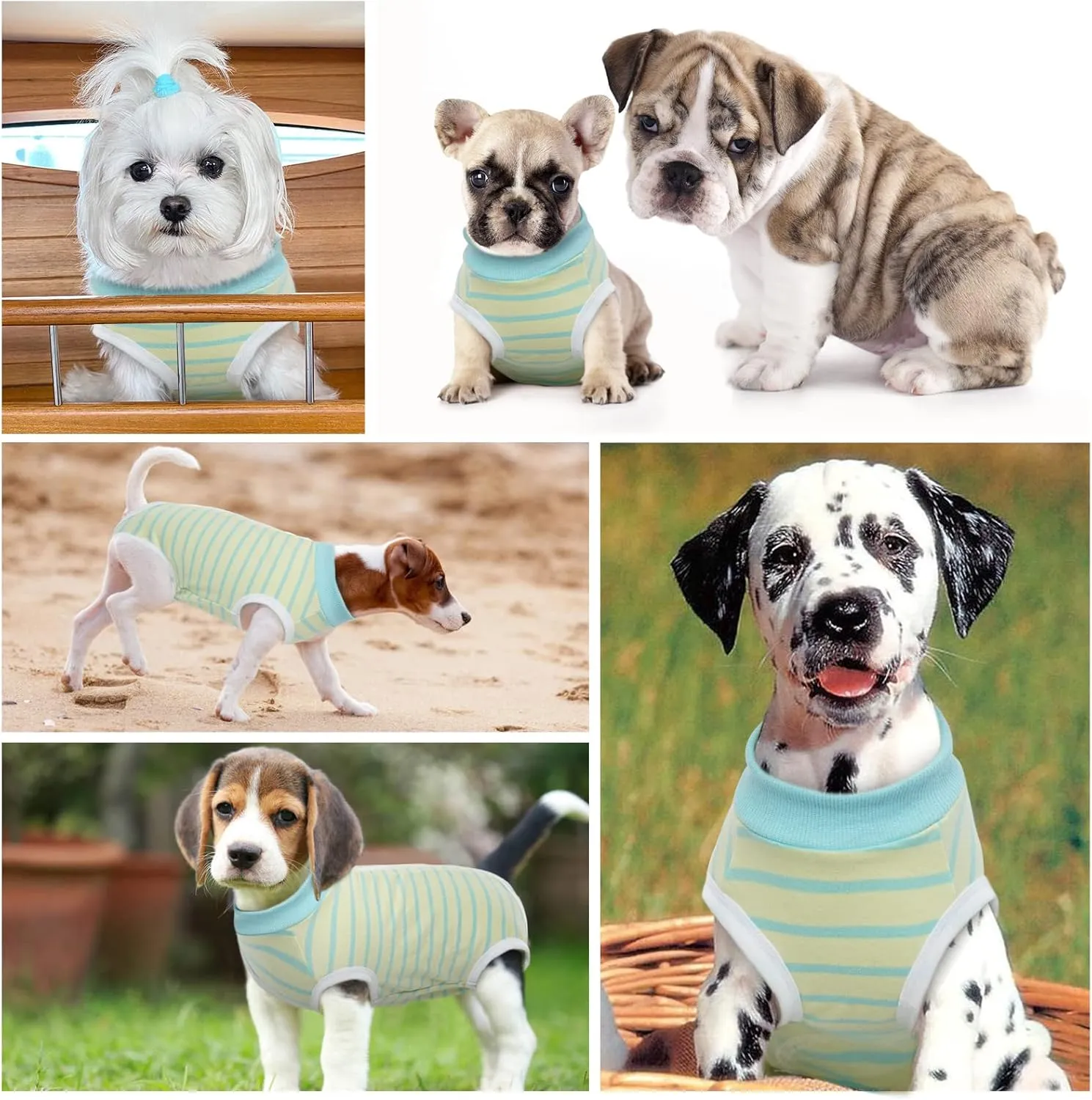 Dog Recovery Suit, Puppy Surgical Pajamas Bodysuit for Dogs Cats After Spay Neuter Surgery Abdominal Wound Bandages, Striped Onesie Pant for Shedding Skin Disease, Anti-Licking Cone Alternative M