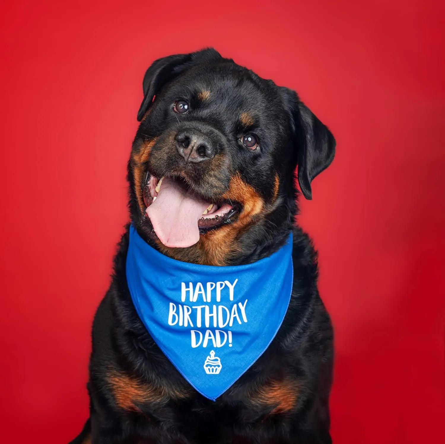 Happy Birthday Dad! Dog Bandana | 100% Cotton Adjustable Triangle | Made in USA | Birthday Party Supplies | Outfit Prop Photoshoot |Navy, X-Small (171)